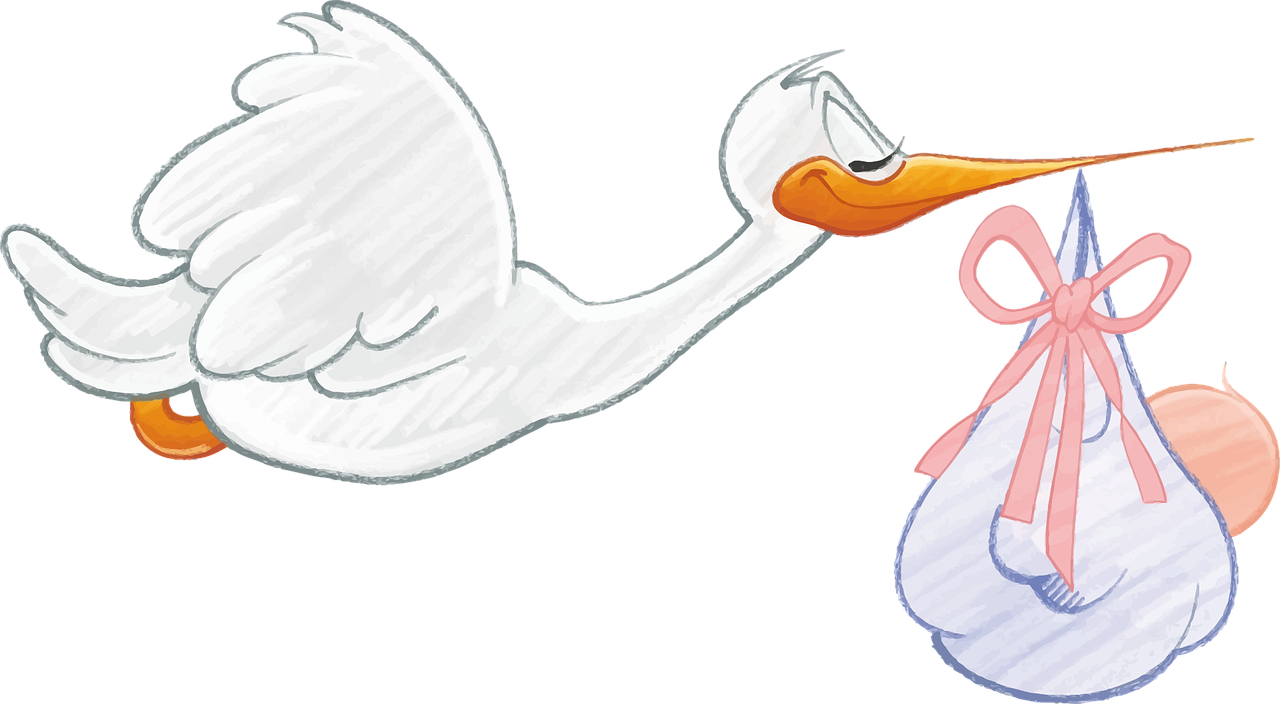 Stork delivering baby-Image
